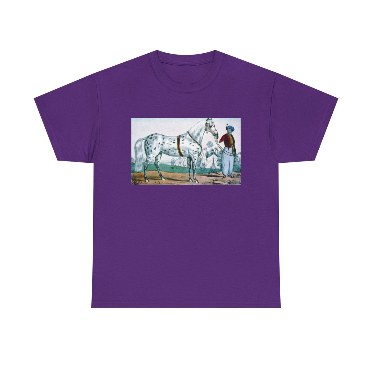 Appaloosa Horse Illustration Tee — Vintage Equestrian Graphic T-Shirt