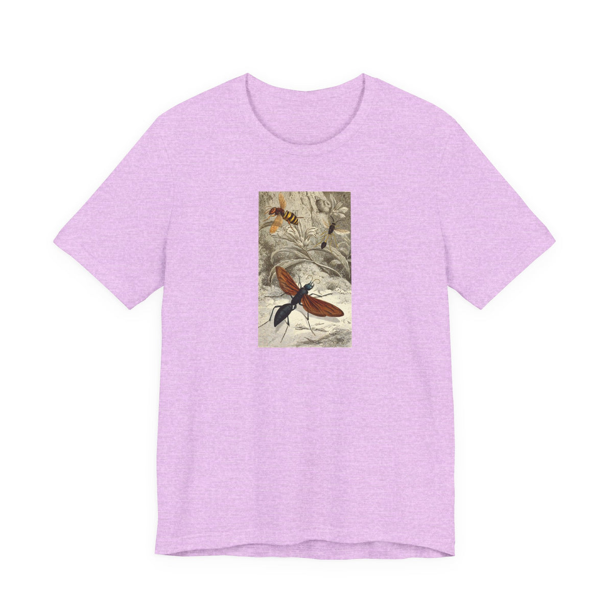 Butterfly Botanical Tee — Vintage Insect Illustration T-Shirt