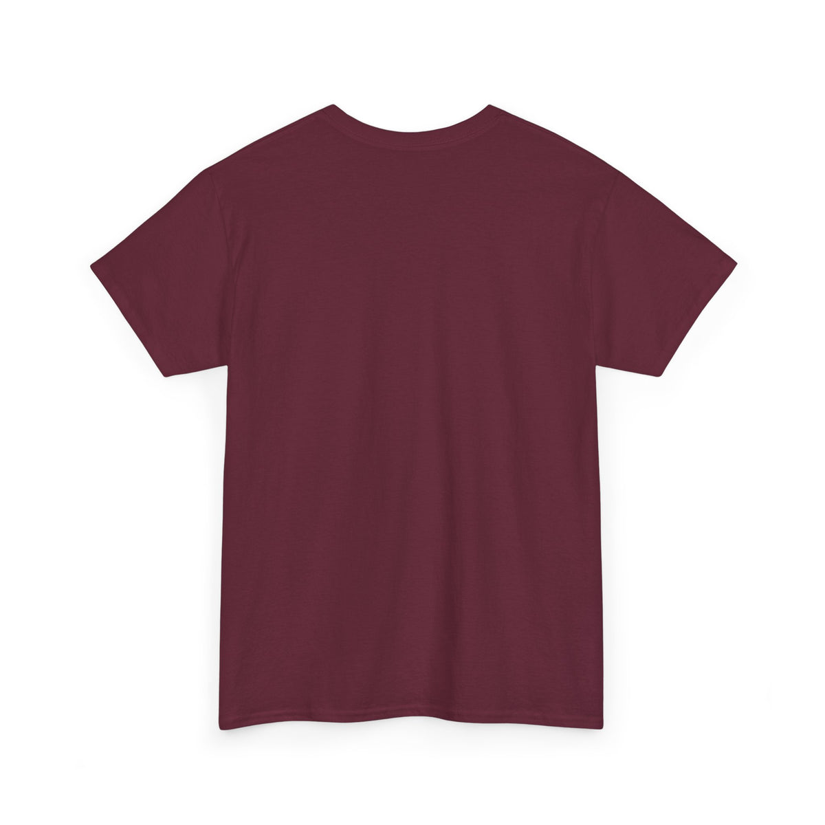 Appaloosa Horse Illustration Tee — Vintage Equestrian Graphic T-Shirt