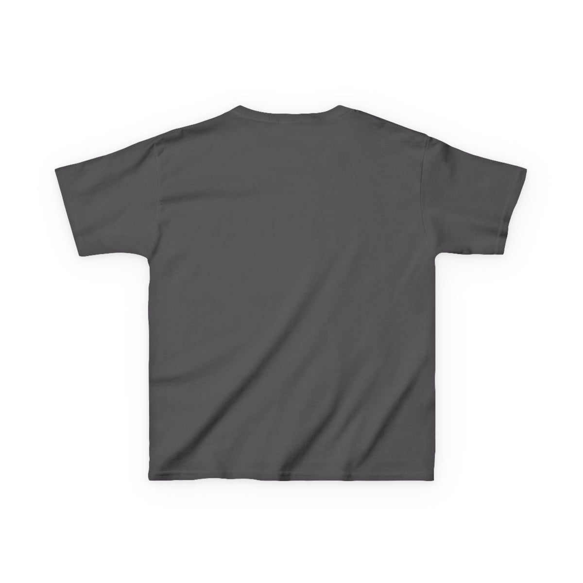 Kids T‑Shirt — Vintage Swan & Duck Pond Art Print