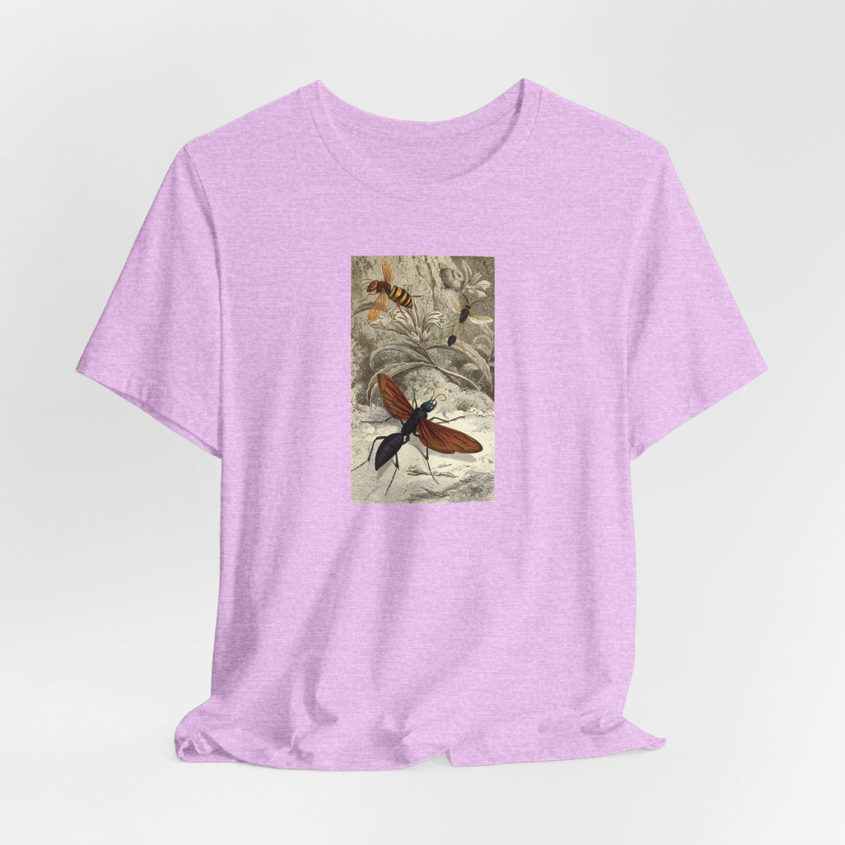 Butterfly Botanical Tee — Vintage Insect Illustration T-Shirt