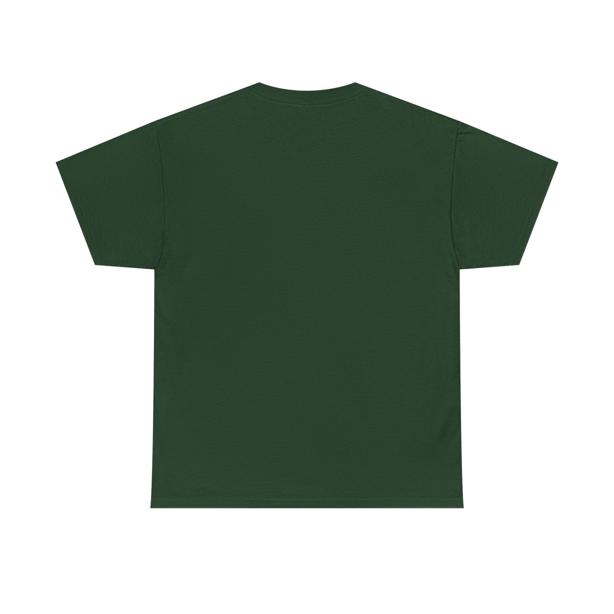 Appaloosa Horse Illustration Tee — Vintage Equestrian Graphic T-Shirt