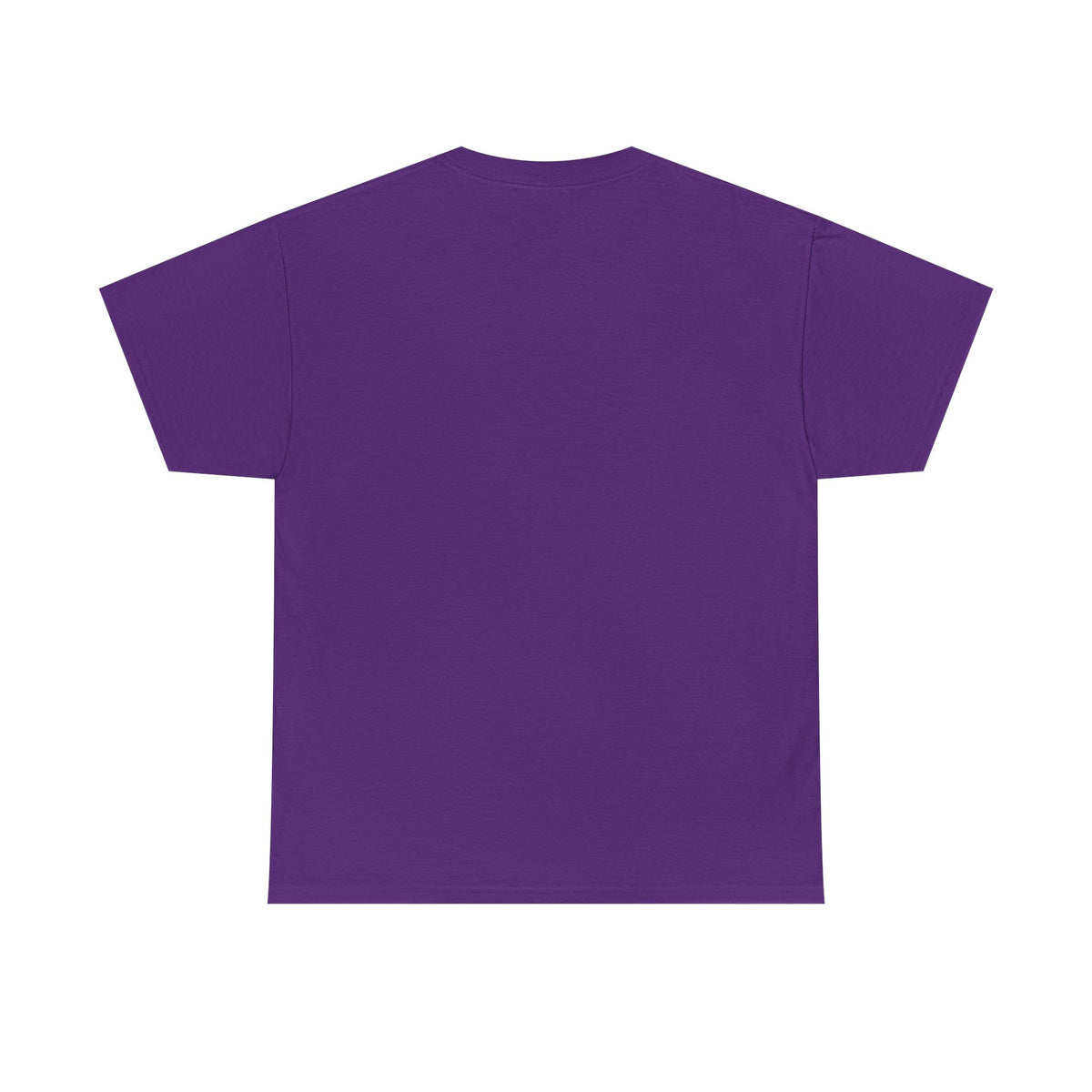 Fantasy Dolphin Oasis T-Shirt