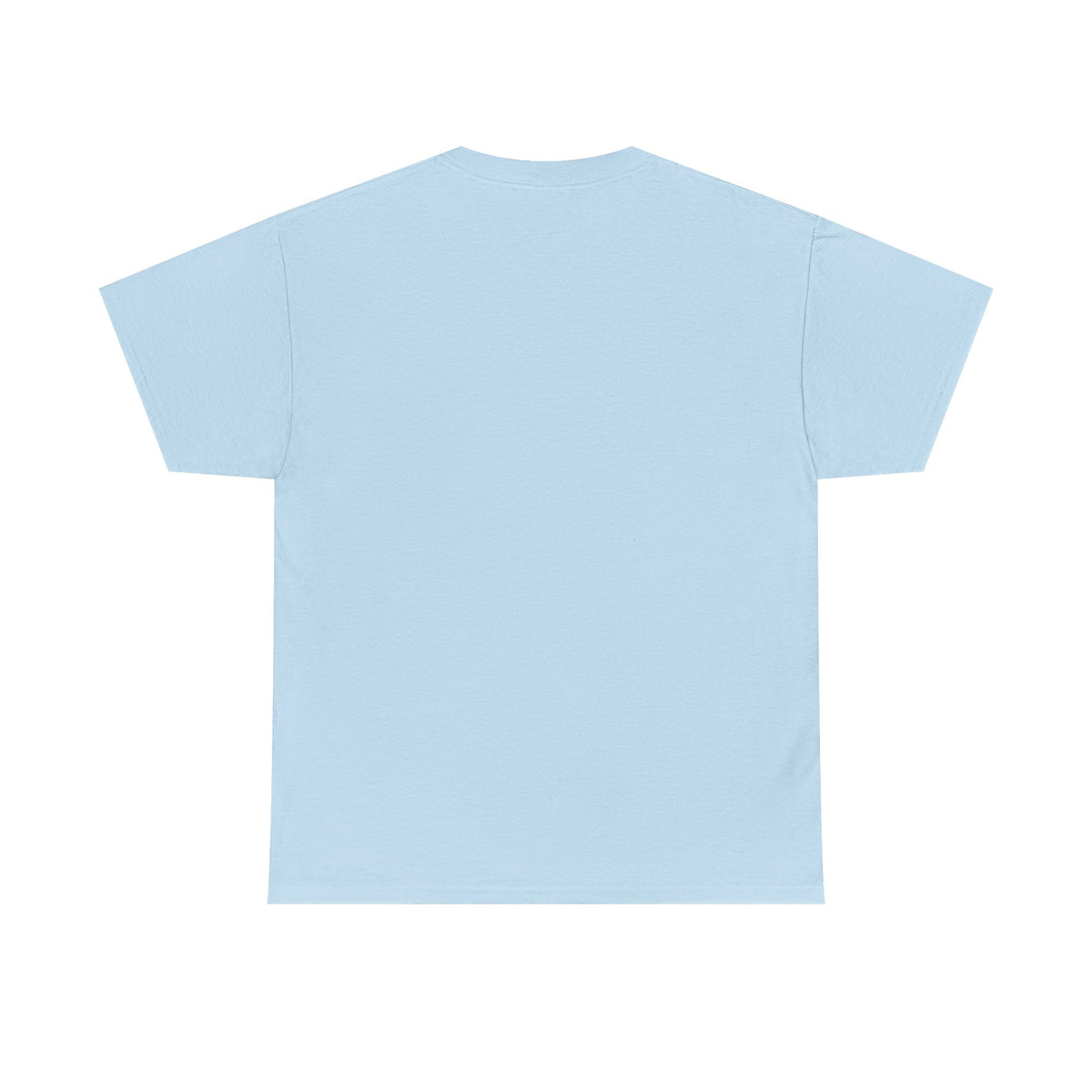 Appaloosa Horse Illustration Tee — Vintage Equestrian Graphic T-Shirt