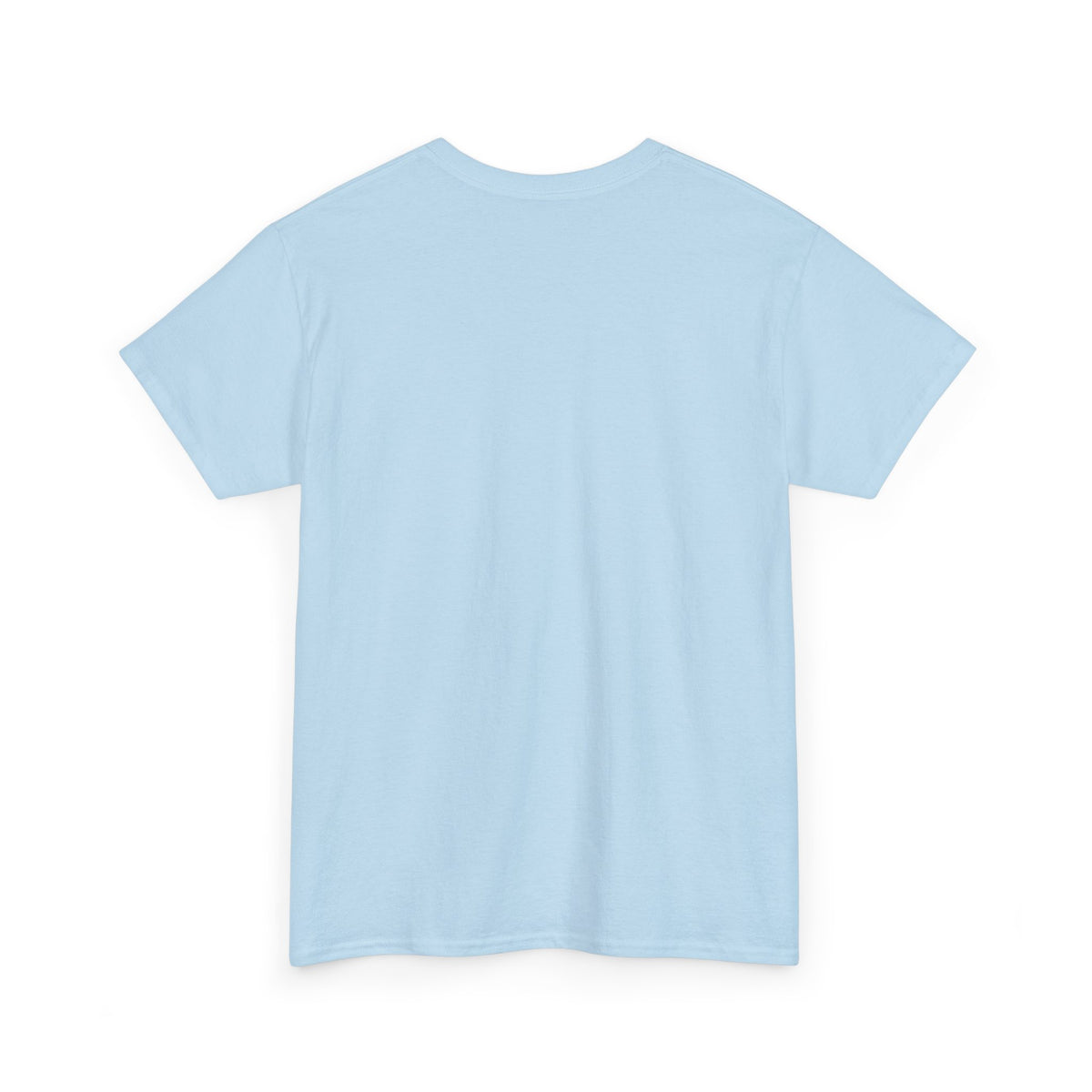 Appaloosa Horse Illustration Tee — Vintage Equestrian Graphic T-Shirt